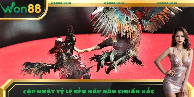 Đá Gà Won88 – Trải Nghiệm Những Trận Đấu Hấp Dẫn Nhất 2025 2 Cập nhật tỷ lệ kèo hấp dẫn chuẩn xác