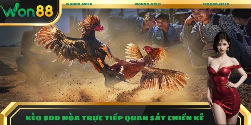 Đá Gà Won88 – Trải Nghiệm Những Trận Đấu Hấp Dẫn Nhất 2025 5 Kèo BDD hòa trực tiếp quan sát chiến kê