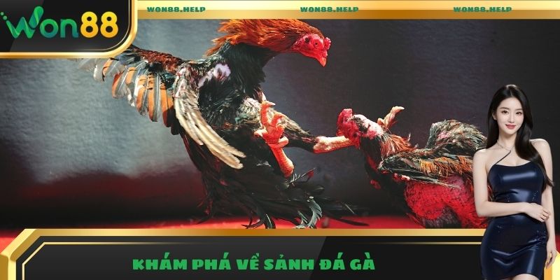 Đá Gà Won88 – Trải Nghiệm Những Trận Đấu Hấp Dẫn Nhất 2025 1 Khám phá về sảnh đá gà