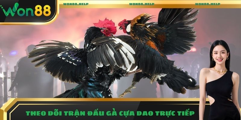 Đá Gà Won88 – Trải Nghiệm Những Trận Đấu Hấp Dẫn Nhất 2025 4 Theo dõi trận đấu gà cựa dao trực tiếp