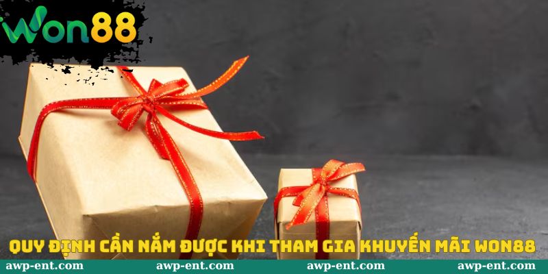 Một số điều kiện quan trọng khi dự thưởng khuyến mãi won88