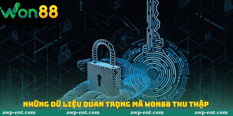 Một số điểm cơ bản cần nắm được về quyền riêng tư won88