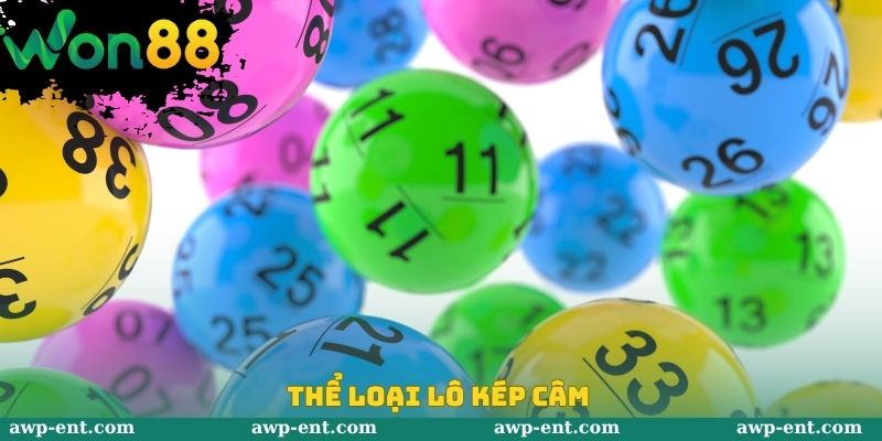 Thể loại lô kép câm