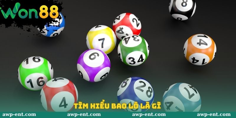 Tìm hiểu bao lô là gì