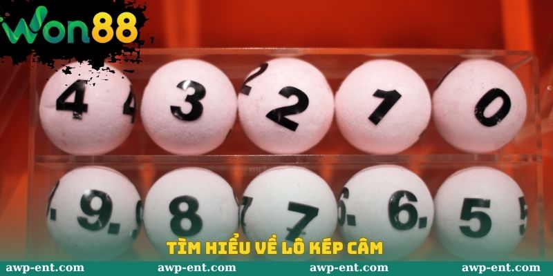 Tìm hiểu về lô kép câm